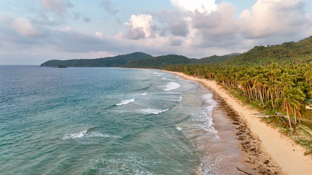 Nacpan Beach: The 4km Stretch of Sand That Ruined Every Other Beach for Us