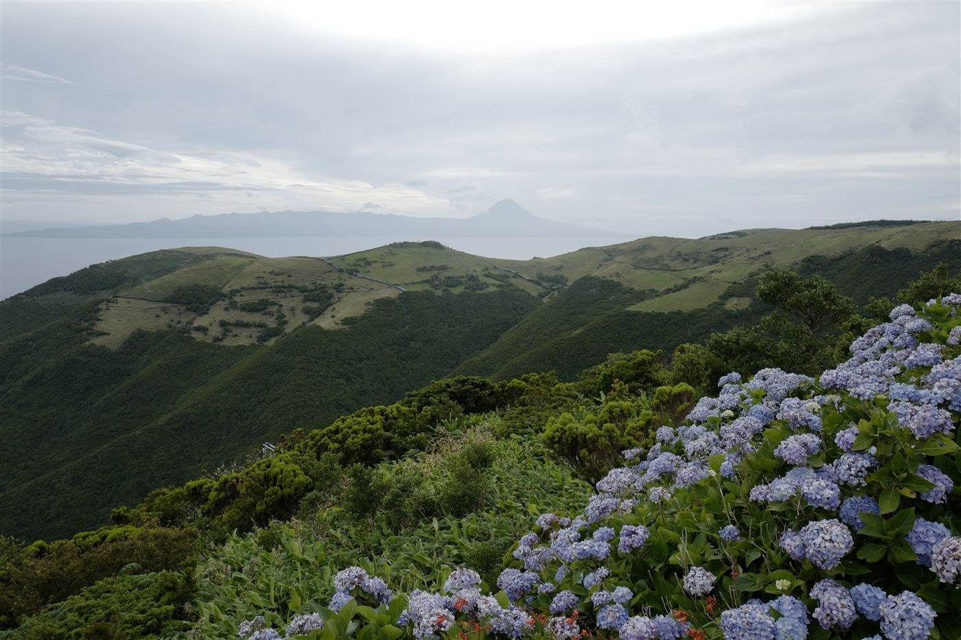 Azores Island Hopping Itinerary for a Family: Pico, Faial, São Jorge and São Miguel in 15 Days